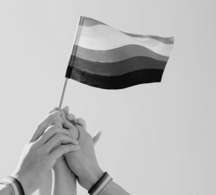 SBS Inclusion Program - LGBTIQ+